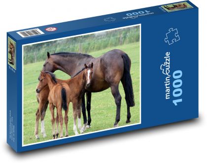 Horse - Puzzle 1000 pieces, size 60x46 cm 