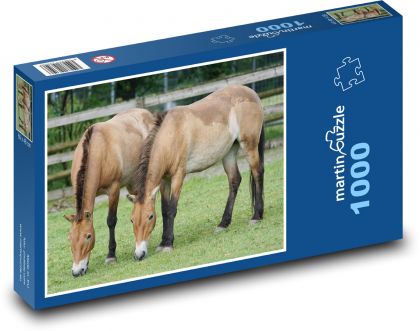 Horses grazing in the paddock - Puzzle 1000 pieces, size 60x46 cm 