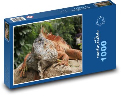 Ein Leguan, der sich auf einem Stein sonnt - Puzzle - 1000 Teile