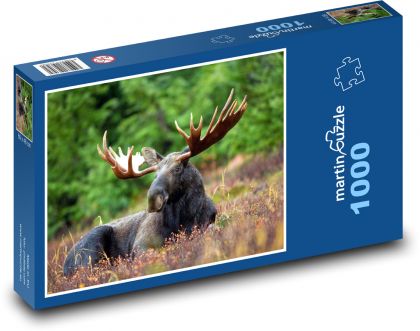 Los - Puzzle 1000 elementów, rozmiar 60x46 cm