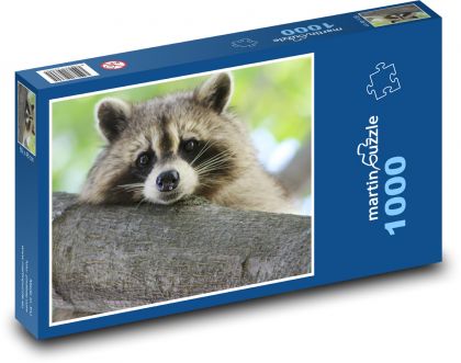 Raccoon lying on a branch - Puzzle 1000 pieces, size 60x46 cm 