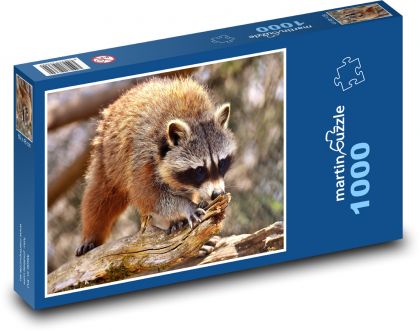 Mýval lezúci na strom - Puzzle 1000 dielikov, rozmer 60x46 cm