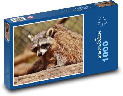 Raccoon in the zoo enclosure - Puzzle 1000 pieces, size 60x46 cm 