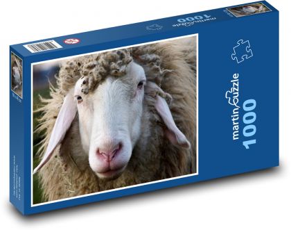 Ovce s dlhými ušami - Puzzle 1000 dielikov, rozmer 60x46 cm