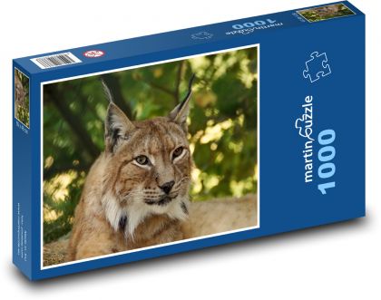 Rysí ostrov v lese - Puzzle 1000 dielikov, rozmer 60x46 cm