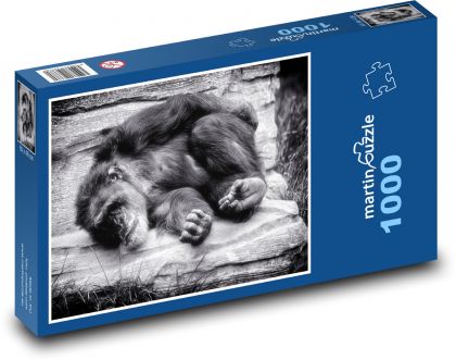 Affe - Puzzle - 1000 Teile