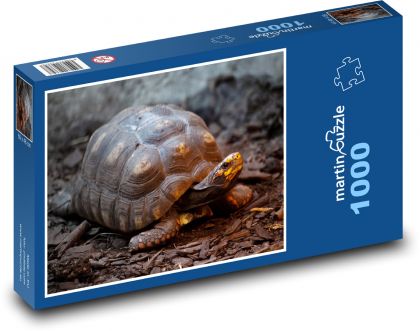 Želva - Puzzle 1000 dílků, rozměr 60x46 cm