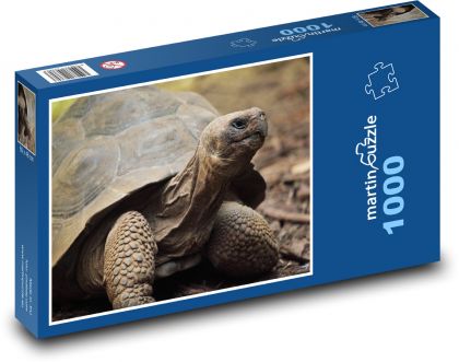 Schildkrötenkopf guckt aus der Muschel - Puzzle - 1000 Teile