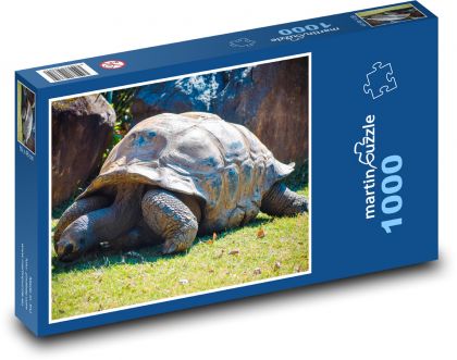 Eine Schildkröte, die im Zoo krabbelt - Puzzle - 1000 Teile