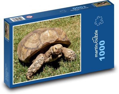 Schildkröte in Bewegung - Puzzle - 1000 Teile