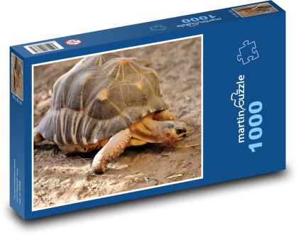 Suchozemská želva na písku - puzzle 1000 dílků