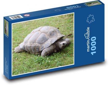 Želva - Puzzle 1000 dílků, rozměr 60x46 cm