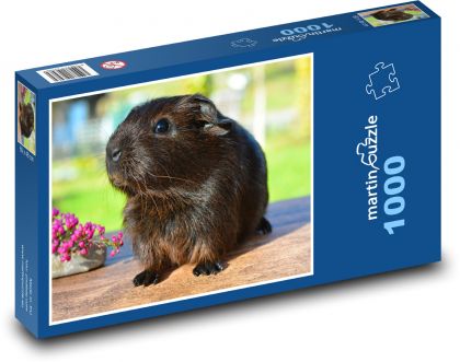 Morča - Puzzle 1000 dielikov, rozmer 60x46 cm