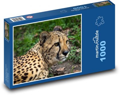 Lampart w lesie - Puzzle 1000 elementów, rozmiar 60x46 cm