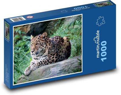 Lampart - Puzzle 1000 elementów, rozmiar 60x46 cm
