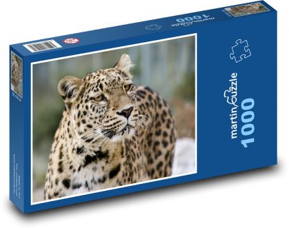 Leopard - Puzzle 1000 dílků, rozměr 60x46 cm