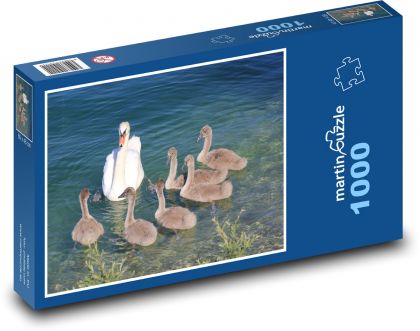 Swan - Puzzle 1000 pieces, size 60x46 cm 