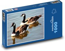 Gänse auf dem Teich Puzzle 1000 Teile - 60 x 46 cm