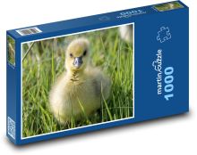 Kachňátko v trávě Puzzle 1000 - 60x46 cm