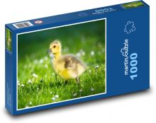 Housátko Puzzle 1000 elementów - 60x46 cm
