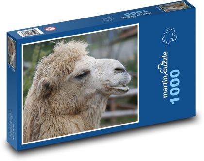 Camel - Puzzle 1000 pieces, size 60x46 cm 