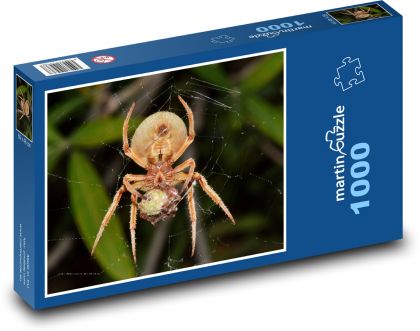 Pavouk - Puzzle 1000 dílků, rozměr 60x46 cm