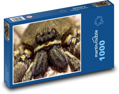 Spider - Puzzle 1000 pieces, size 60x46 cm 