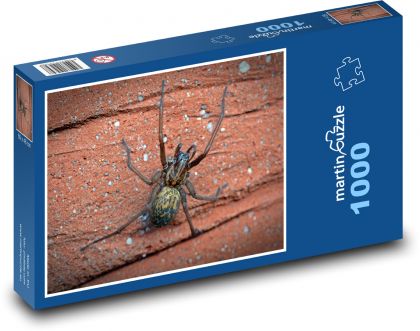 Long-legged spider - Puzzle 1000 pieces, size 60x46 cm 