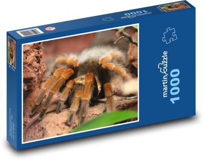 Pavouk - Puzzle 1000 dílků, rozměr 60x46 cm