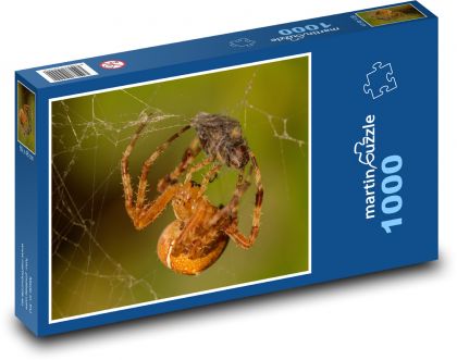 Pavúk na webe - Puzzle 1000 dielikov, rozmer 60x46 cm