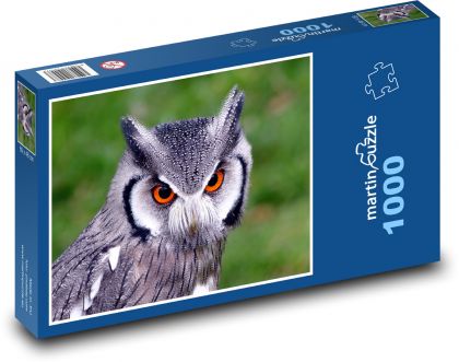Owl - Puzzle 1000 pieces, size 60x46 cm 