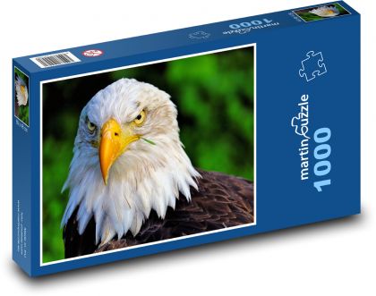 Eagle - Puzzle 1000 pieces, size 60x46 cm 