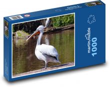 Ptak - pelikan nad stawem Puzzle 1000 elementów - 60x46 cm