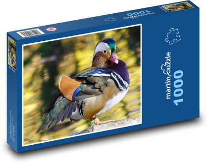 Ptak - kaczka mandarynka - Puzzle 1000 elementów, rozmiar 60x46 cm