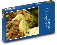 Seahorse Puzzle 1000 pieces - 60 x 46 cm