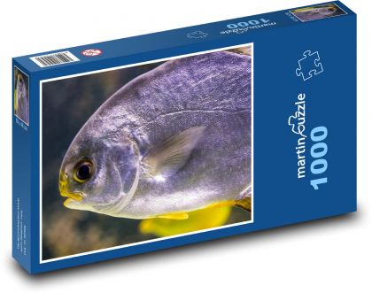 Tropické ryby pod vodou - Puzzle 1000 dielikov, rozmer 60x46 cm