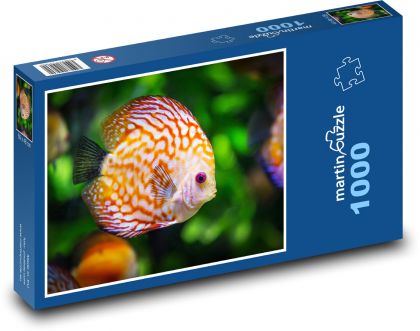 Bunte Aquarienfische - Ziel - Puzzle - 1000 Teile