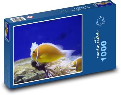 Yellow fish in the aquarium - Puzzle 1000 pieces, size 60x46 cm 