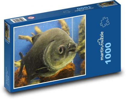 Ryba - Puzzle 1000 dílků, rozměr 60x46 cm