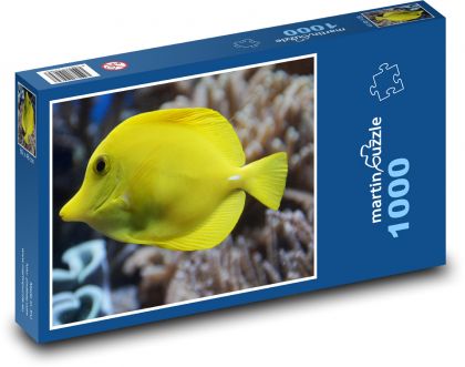 Žltá ryba - bodlok - Puzzle 1000 dielikov, rozmer 60x46 cm