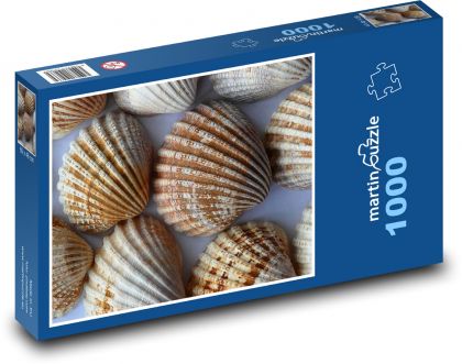 Brown sea shells - Puzzle 1000 pieces, size 60x46 cm 