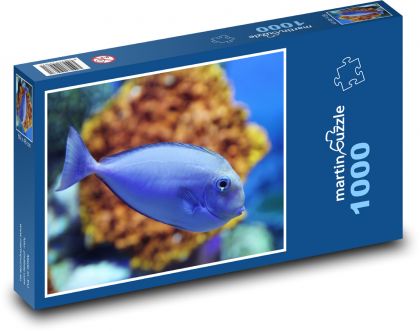 Ryba - Puzzle 1000 dílků, rozměr 60x46 cm