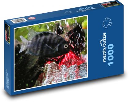 Ryby - Puzzle 1000 dielikov, rozmer 60x46 cm