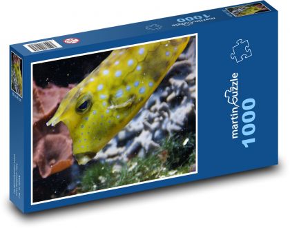 Gelbfleckiger Fisch - Puzzle - 1000 Teile