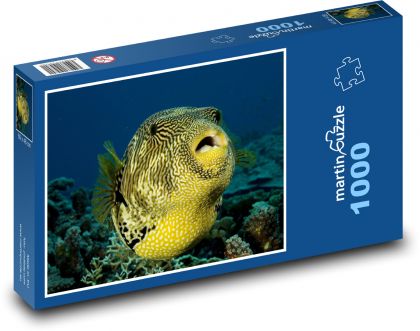 Fish - Puzzle 1000 pieces, size 60x46 cm 