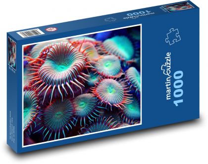 Anemone - Puzzle 1000 pieces, size 60x46 cm 