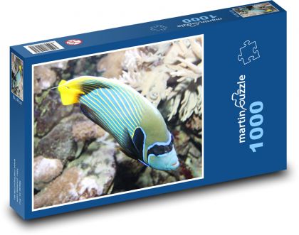 Sea Fish with Yellow Tail - Puzzle 1000 pieces, size 60x46 cm 