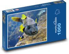 Gelbflossenfisch Puzzle 1000 Teile - 60 x 46 cm