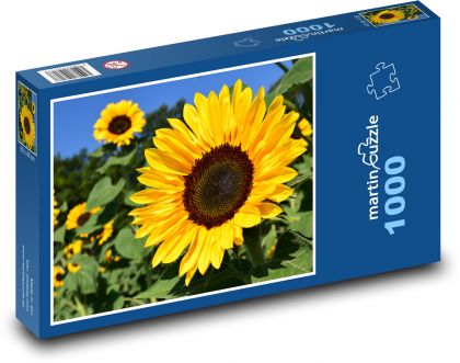 Sonnenblumenfeld - Puzzle - 1000 Teile