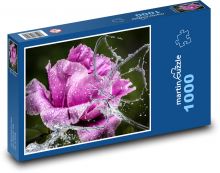Kvety - Pivónia Puzzle 1000 dielikov - 60 x 46 cm 